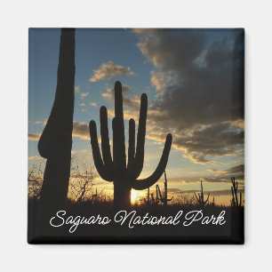 Saguaro Sunset II Arizona Wüste Landschaft Magnet