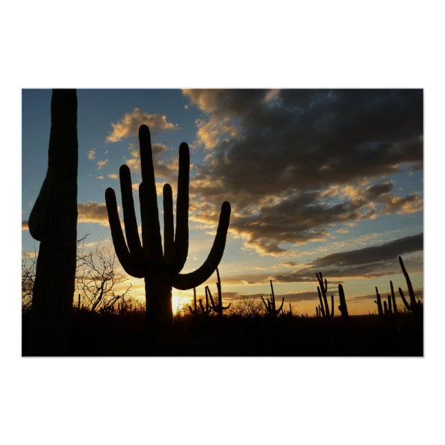 Saguaro Sunset II Arizona Wüste Landschaft Poster (Vorderseite)