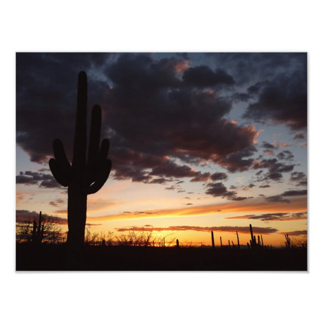 Saguaro Sunset III Arizona Wüste Landschaft Fotodruck (Vorne)
