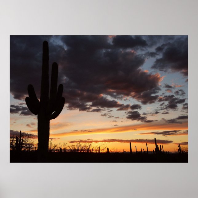 Saguaro Sunset III Arizona Wüste Landschaft Poster (Vorne)
