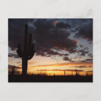Saguaro Sunset III Arizona Wüste Landschaft