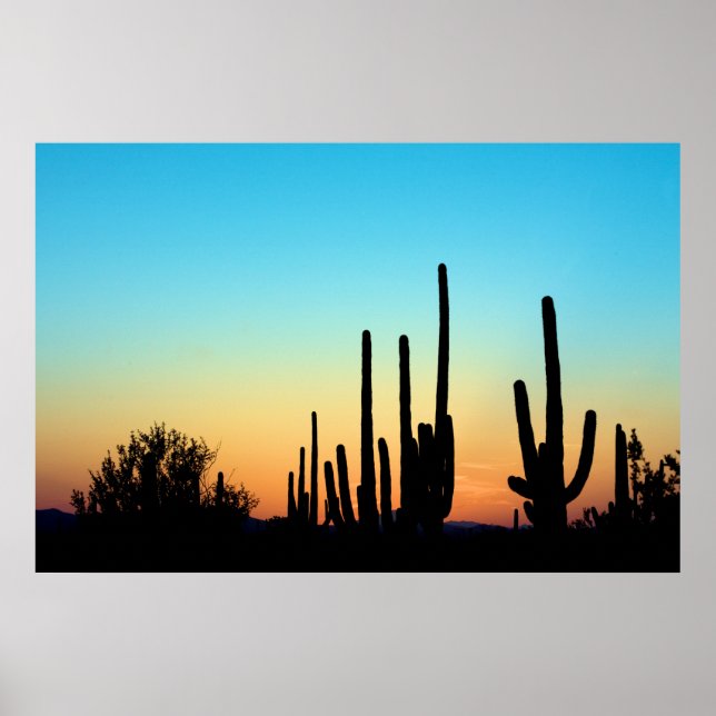 Saguaro Sunset Poster (Vorne)