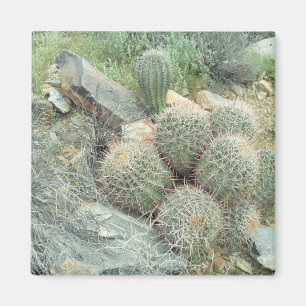 Saguaro Swirl Cactus Kühlschrank Gift Magnet