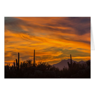 Saguaro Wüste Sunset Foto Grußkarte