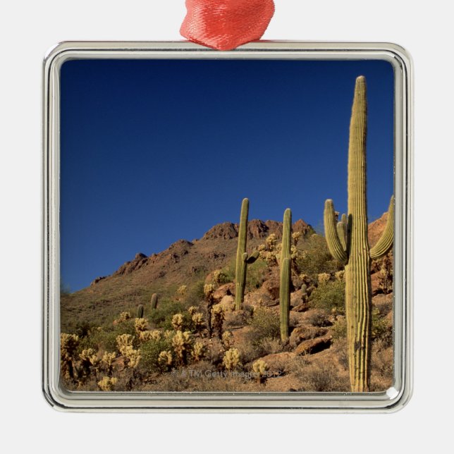 Saguarokakteen und Tucson-Berge, Tucson Silbernes Ornament (Vorne)
