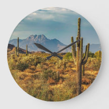 Saguaros Arizona Wüste Vier Gipfel Aussicht auf di
