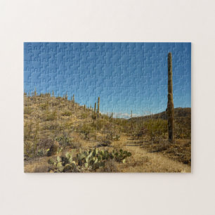 Saguaro's Carillo Trail im Saguaro National Park Puzzle