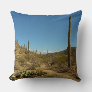 Saguaro's Carillo Trail im Saguaro-Nationalpark Kissen