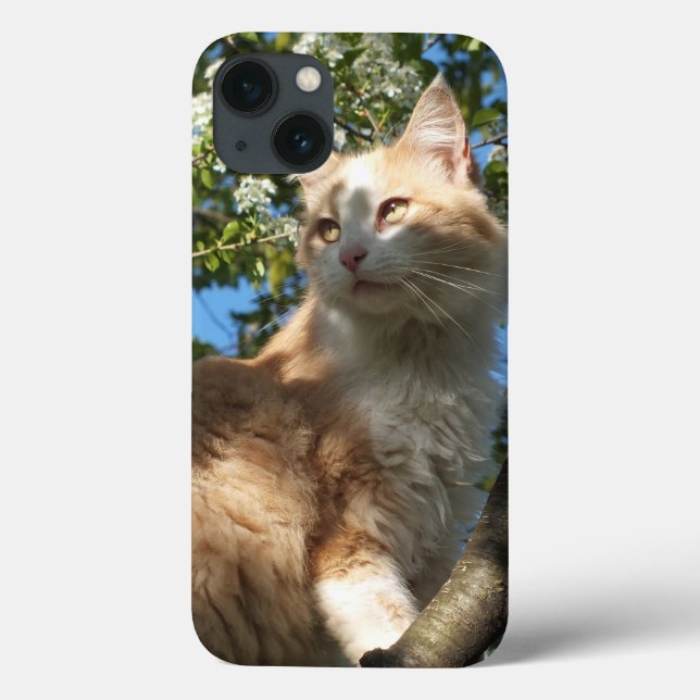 Sahara-Katze in einem iPad-Fall Case-Mate iPhone Hülle (Rückseite)