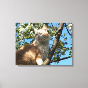 Sahara-Katze in einem Kirschbaum umhüllte Canvas Leinwanddruck