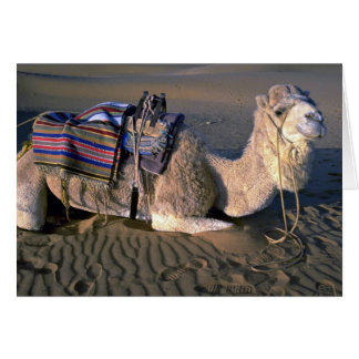 Sahara-Wüste nahe Merzouga, Marokko