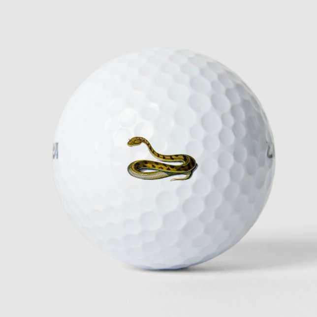 Saharan horned Viper Illustration Golfball (Vorderseite)