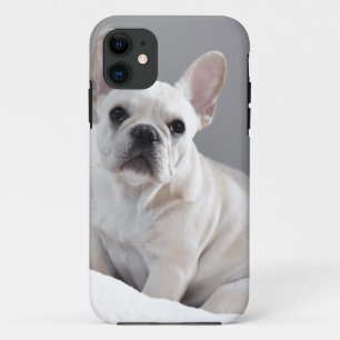 SahneFrenchie Case-Mate iPhone Hülle