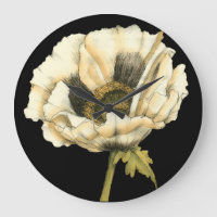 Sahnemohnblumen-Blume auf schwarzem Hintergrund
