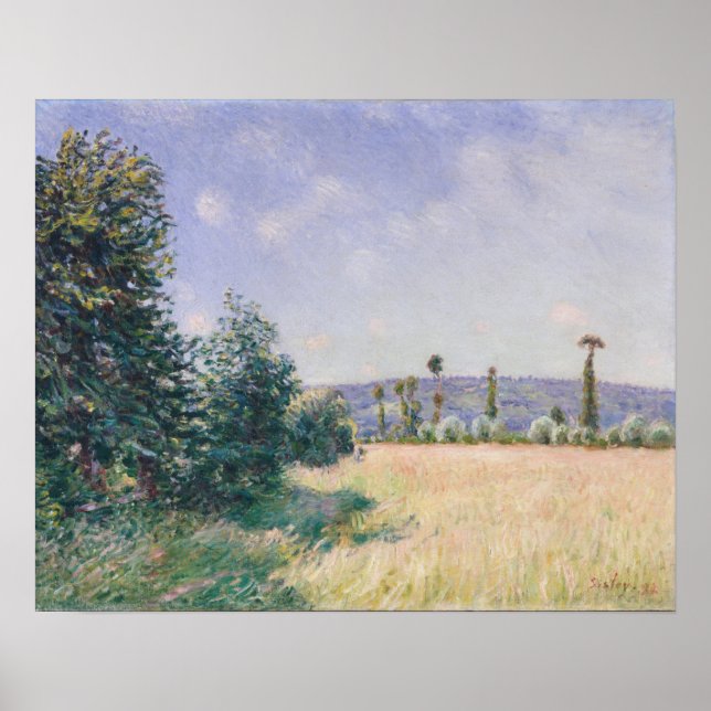 Sahurs Meadows in Morning Sun Poster (Vorne)