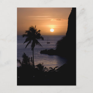 Sailboat Sunset Postcard Postkarte