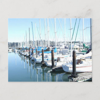 Sailboats in Harbor Postkarte
