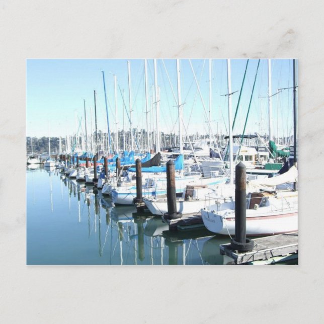 Sailboats in Harbor Postkarte (Vorderseite)