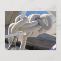 Sailor's Knot Postcard