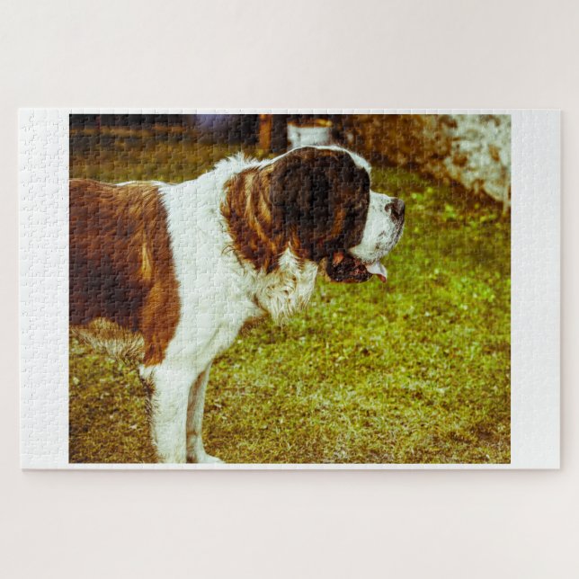 Saint Bernard Dog Jigsaws. Puzzle (Horizontal)