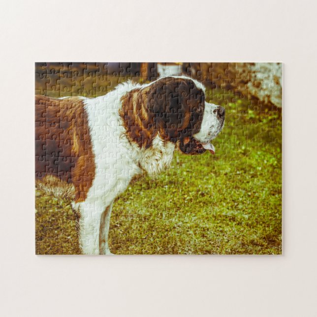 Saint Bernard Dog Jigsaws. Puzzle (Horizontal)