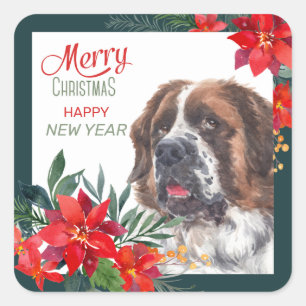 Saint Bernard Dog Poinsettia - Grenze Weihnachten Quadratischer Aufkleber