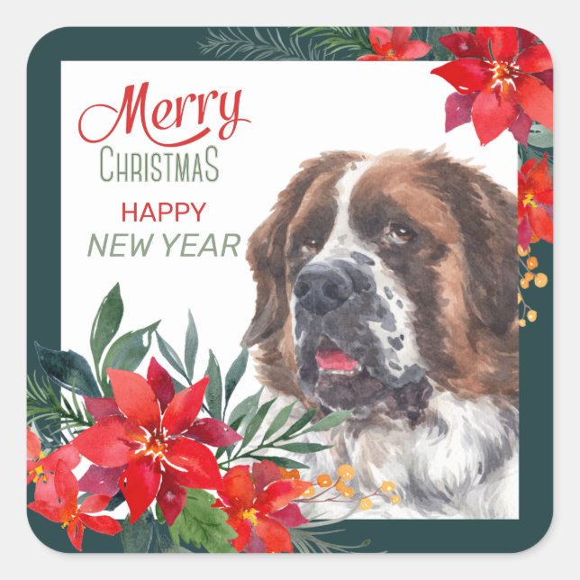 Saint Bernard Dog Poinsettia - Grenze Weihnachten Quadratischer Aufkleber (Vorderseite)