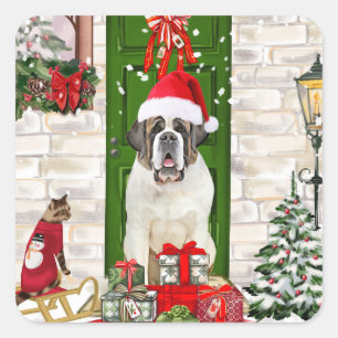 Saint Bernard Dog Weihnachten Quadratischer Aufkleber