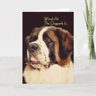 Saint Bernard Geburtstagskarte Karte