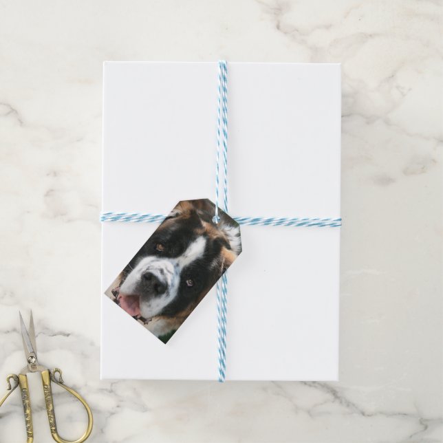 Saint Bernard Geschenkanhänger (Mit Garn)