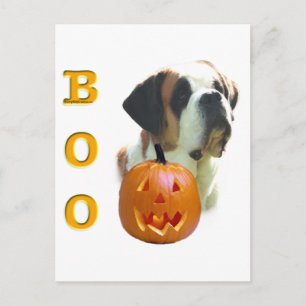 Saint Bernard (glatt) Boo Postkarte