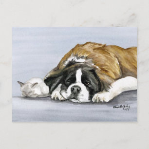 Saint Bernard & Kitten Dog Postkarte