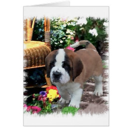 Saint Bernard Kunstgeschenke