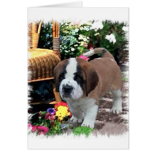 Saint Bernard Kunstgeschenke (Vorne)