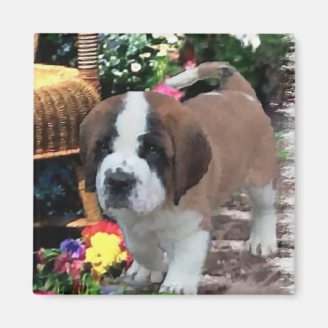 Saint Bernard Kunstgeschenke Magnet (Vorne)