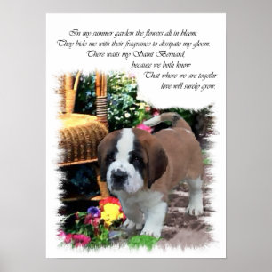 Saint Bernard Kunstgeschenke Poster
