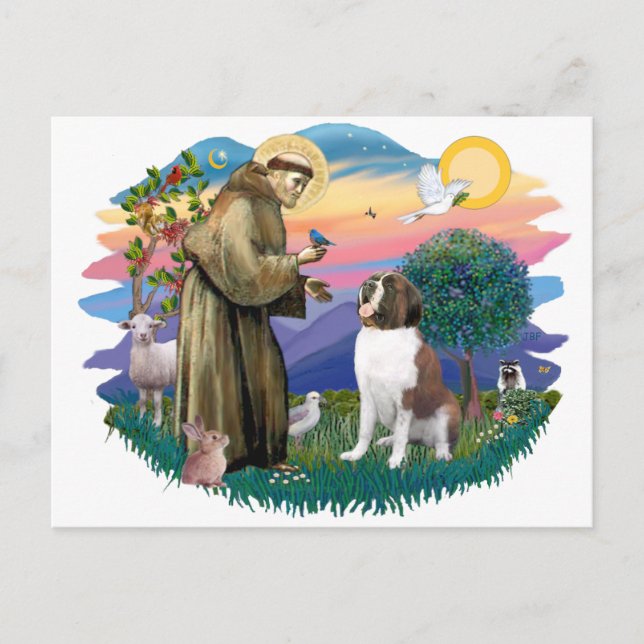 Saint Bernard Postkarte (Vorderseite)