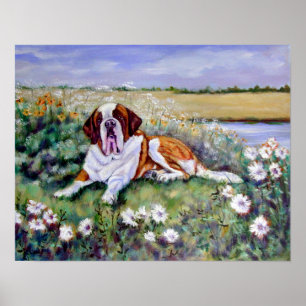 Saint Bernard Print Poster