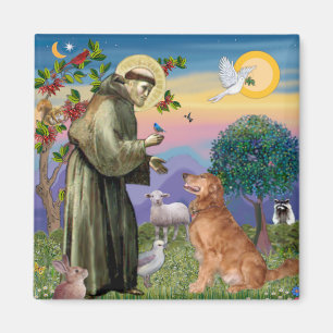 Saint Francis - Goldener Retriever (#1) Magnet