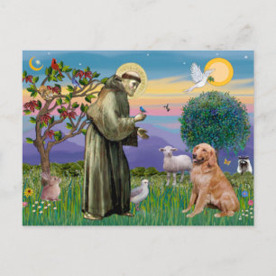 Saint Francis - Goldener Retriever (#1) Postkarte