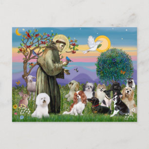 Saint Francis mit 10 Hunden Postkarte