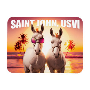 Saint John USVI Donkeys auf Beach Funny Unique Magnet