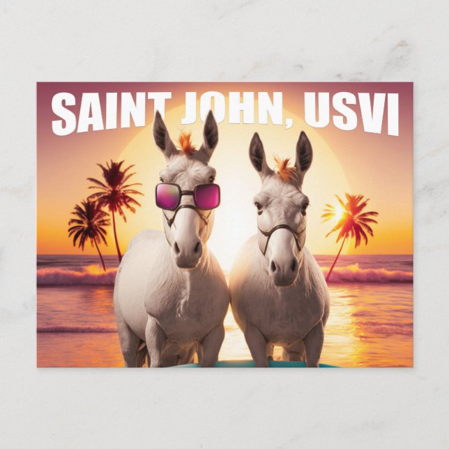 Saint John USVI Donkeys auf Beach Funny Unique Postkarte (Vorderseite)