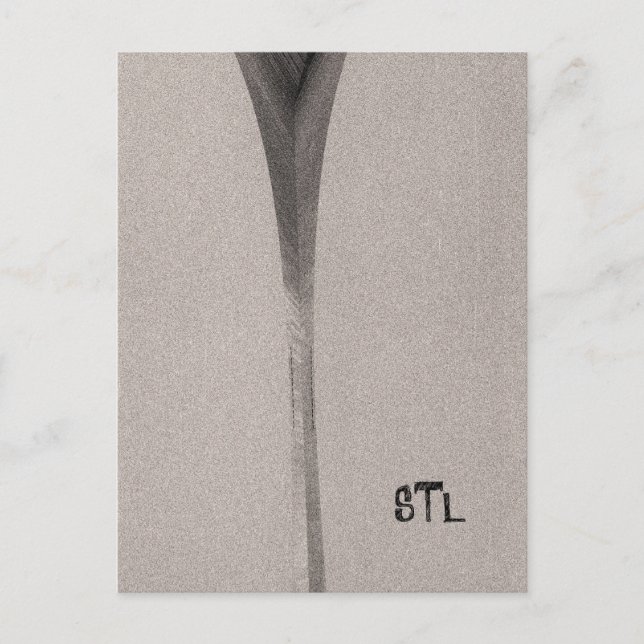 Saint Louis Arch Postkarte (Vorderseite)