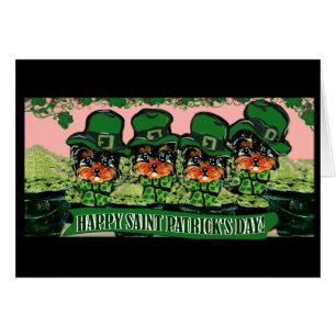 Saint Patty Yorkie Pudel