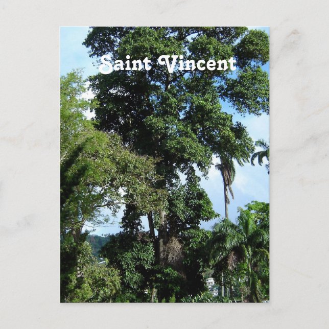 Saint Vincent Island Postkarte (Vorderseite)