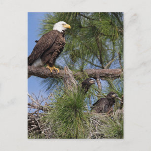 Saison 6 E10, E11 & Harriet Post Card Postkarte