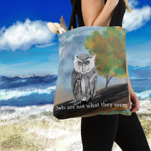 Saisonale Owl Malerei in Nature Wonders
