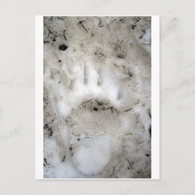 Saisonbeginn Postkarte (Vorderseite)