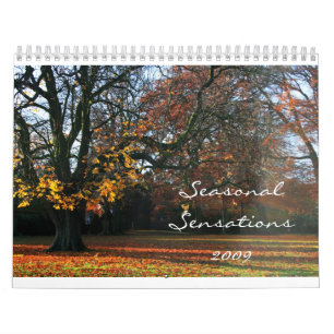 Saisonempfindungen 2009 kalender